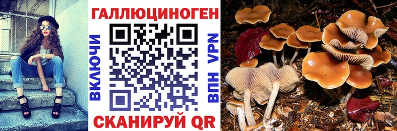 Галлюциногенные грибы ЛСД Краснознаменск
